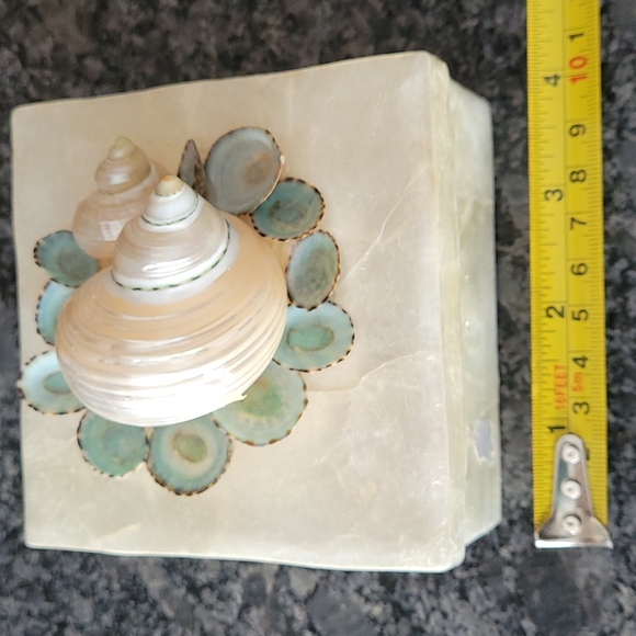 Marjorie Bloom Shell Trinket Box - Picture 9 of 11